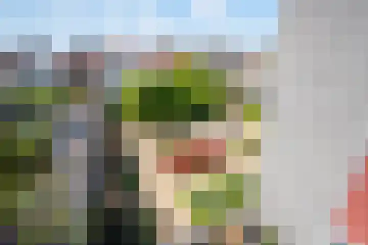 Nassauplein 11 V Alkmaar thumbnail 24