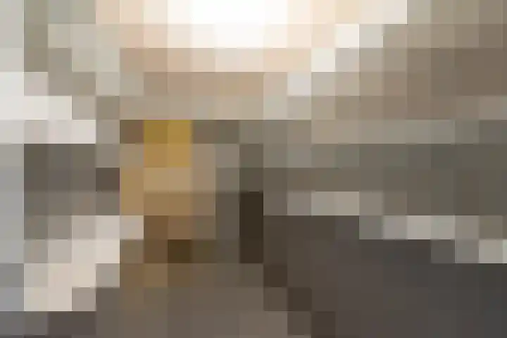 Nassauplein 11 V Alkmaar thumbnail 34