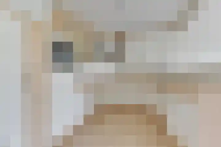 Nassauplein 11 V Alkmaar thumbnail 8