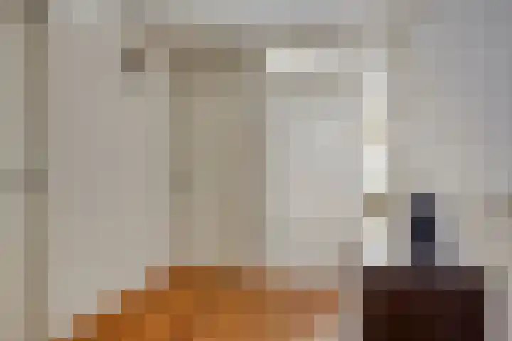 Nassauplein 11 Y Alkmaar thumbnail 10