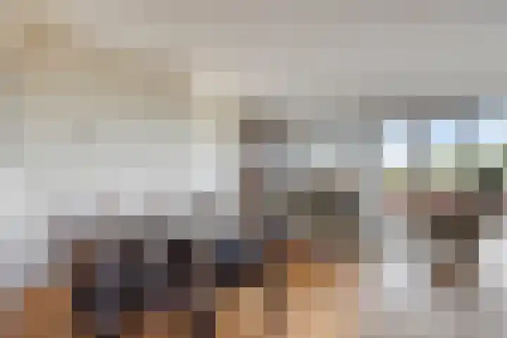 Nassauplein 11 Y Alkmaar thumbnail 14