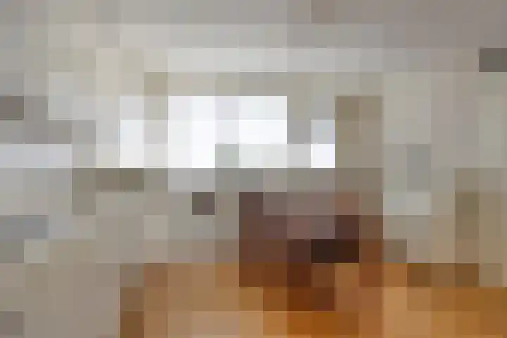 Nassauplein 11 Y Alkmaar thumbnail 16