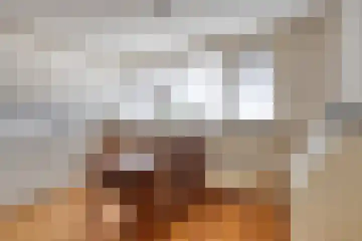 Nassauplein 11 Y Alkmaar thumbnail 17