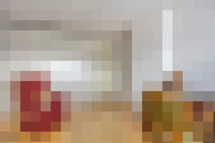Nassauplein 11 Y Alkmaar thumbnail 22