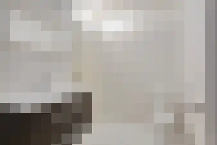 Nassauplein 11 Y Alkmaar thumbnail 24