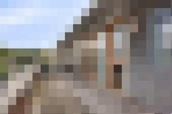 Nassauplein 11 Y Alkmaar thumbnail 25
