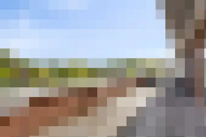 Nassauplein 11 Y Alkmaar thumbnail 26