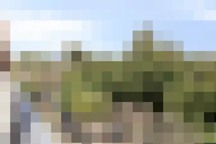Nassauplein 11 Y Alkmaar thumbnail 29