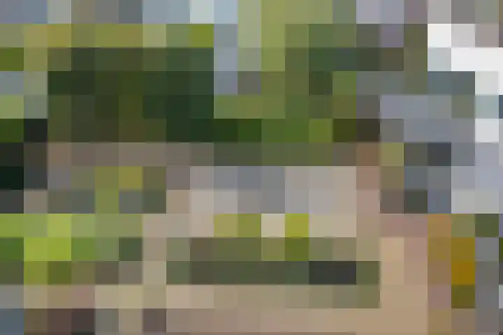 Nassauplein 11 Y Alkmaar thumbnail 30