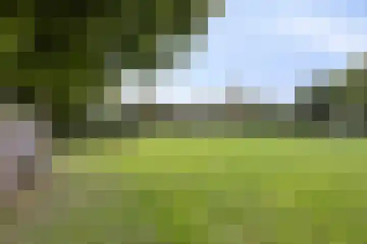 Nassauplein 11 Y Alkmaar thumbnail 32