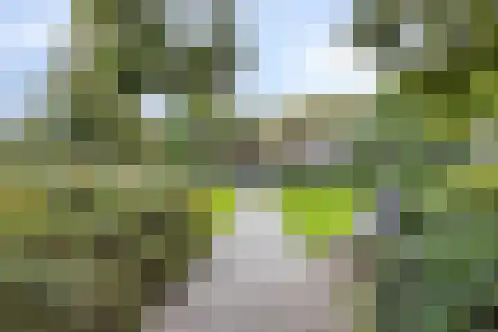 Nassauplein 11 Y Alkmaar thumbnail 33