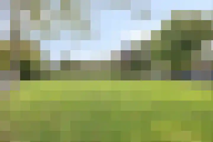 Nassauplein 11 Y Alkmaar thumbnail 34