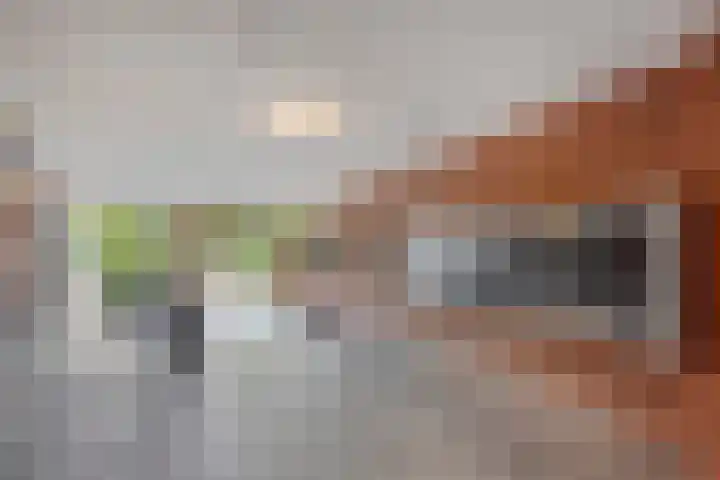 Nassauplein 11 Y Alkmaar thumbnail 6