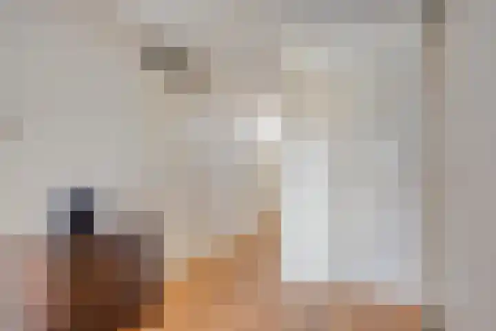 Nassauplein 11 Y Alkmaar thumbnail 9