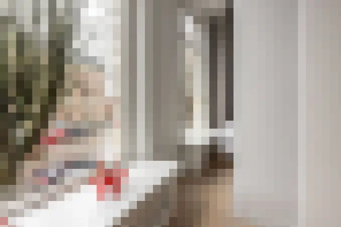 Nassauplein 12 Haarlem thumbnail 17