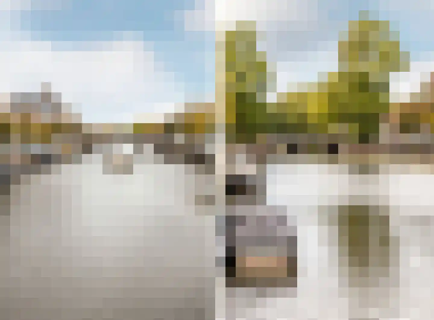 Nassauplein 12 Haarlem thumbnail 23