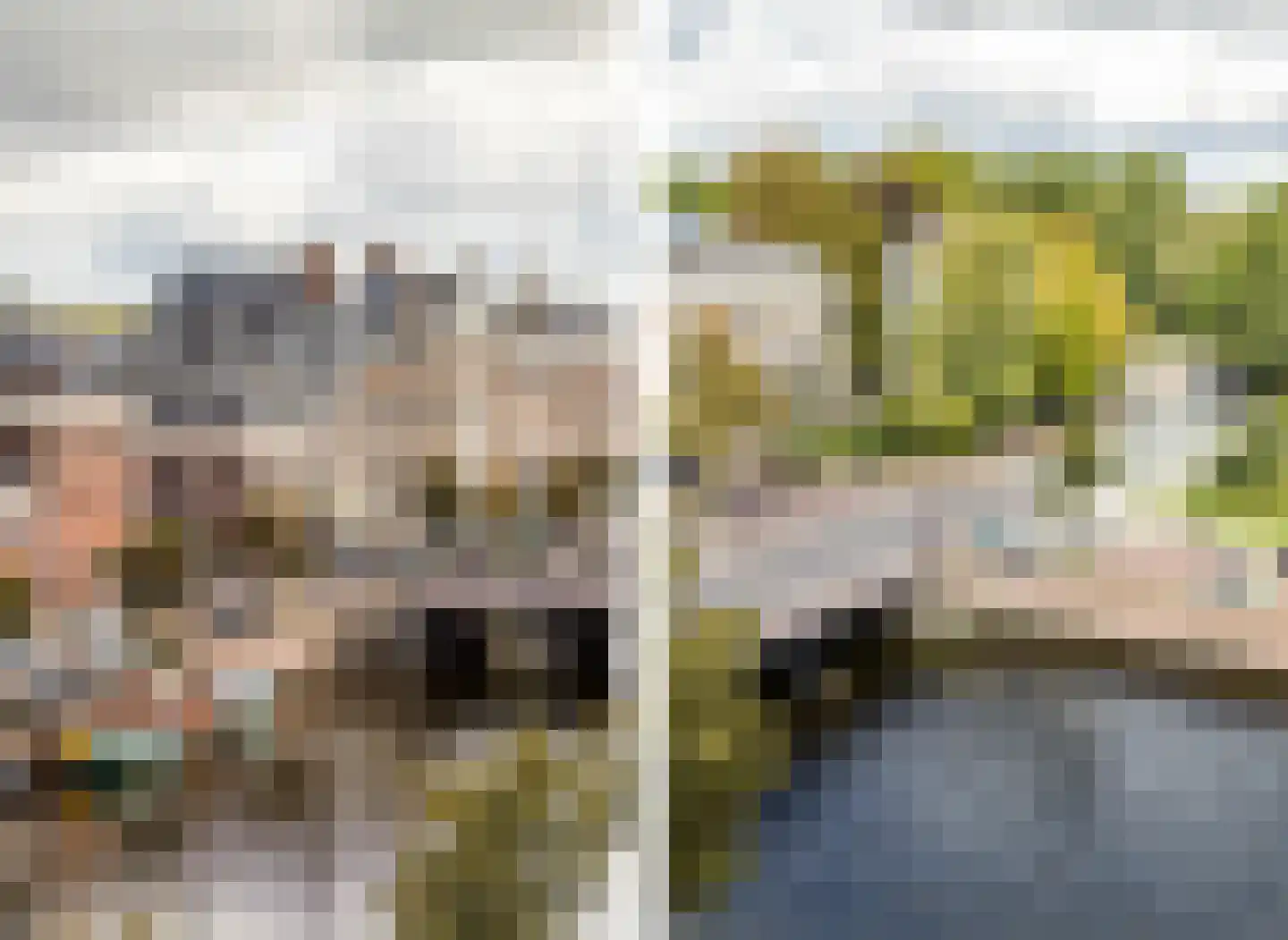 Nassauplein 12 Haarlem thumbnail 24