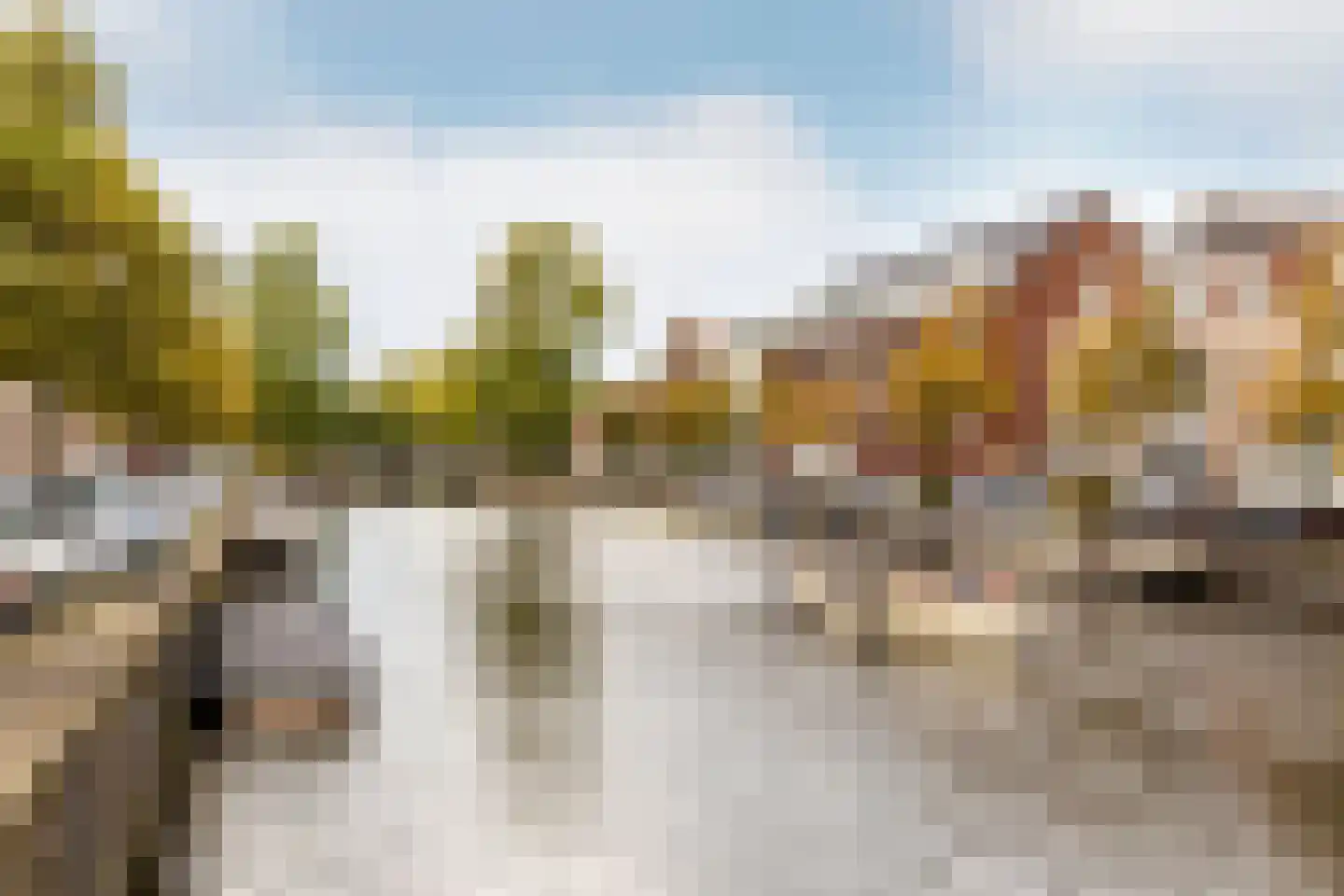 Nassauplein 12 Haarlem thumbnail 25