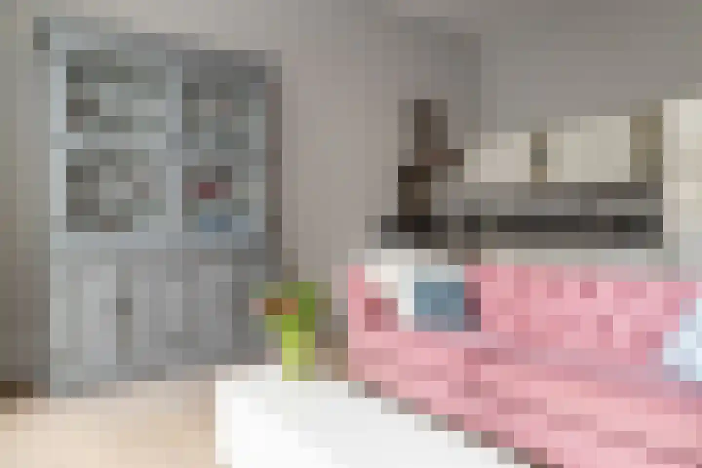 Nassauplein 12 Haarlem thumbnail 6