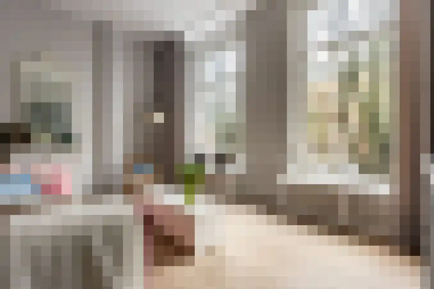 Nassauplein 12 Haarlem thumbnail 8