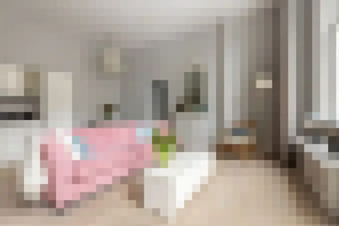 Nassauplein 12 Haarlem thumbnail 9