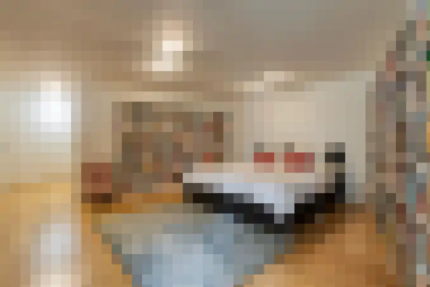 Nassauplein 13 Haarlem thumbnail 18