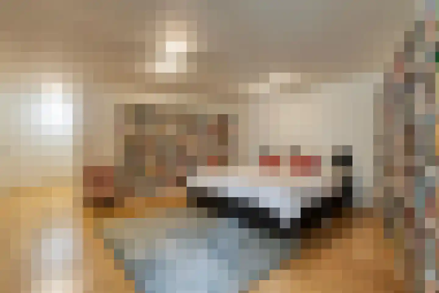 Nassauplein 13 Haarlem thumbnail 18