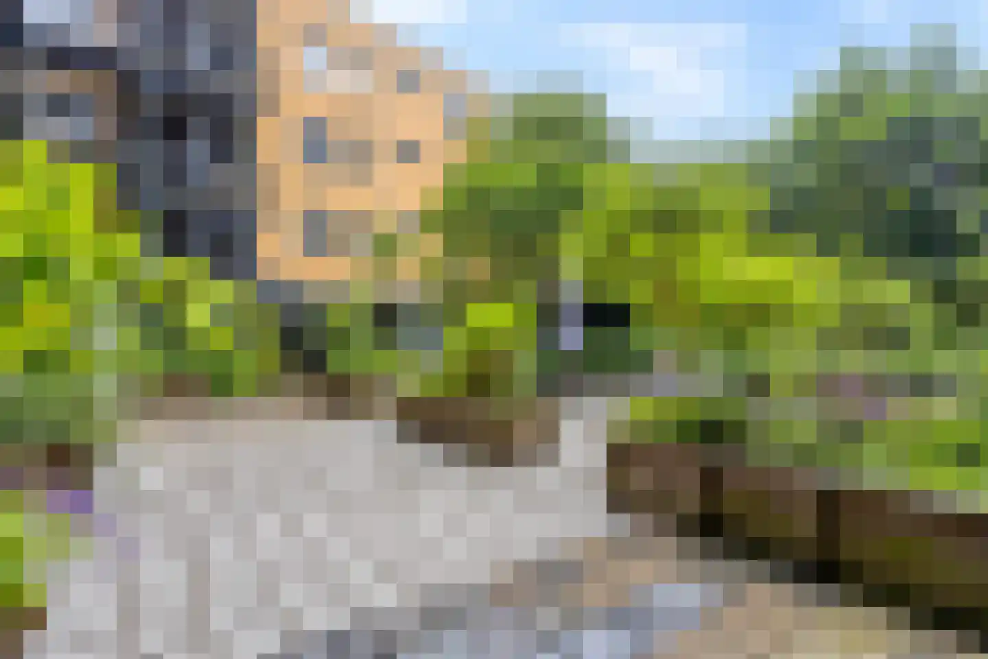 Nassauplein 13 Haarlem thumbnail 29