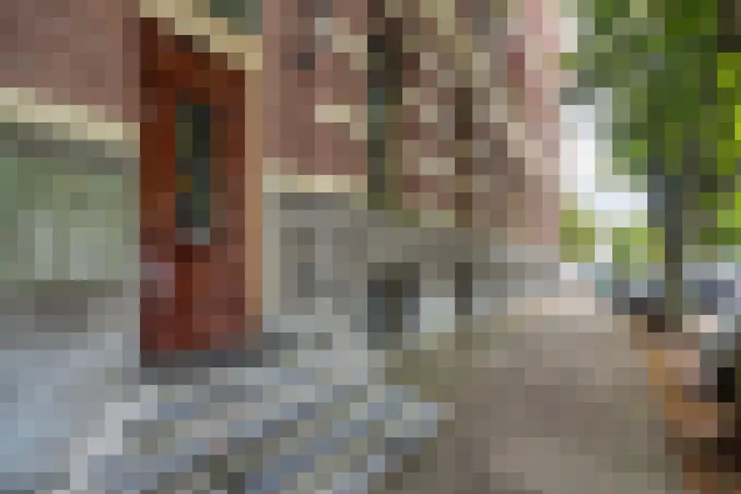 Nassauplein 13 Haarlem thumbnail 5