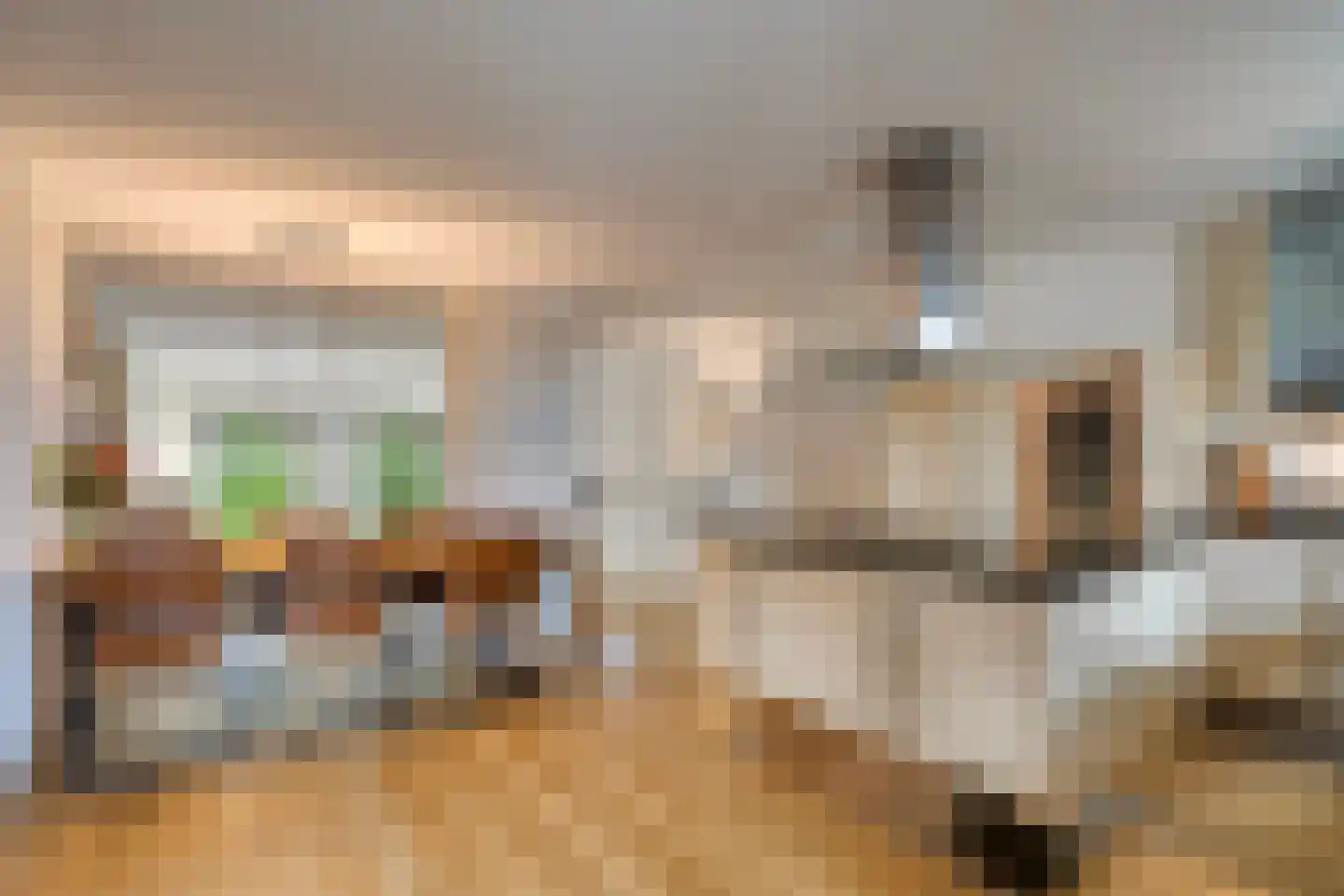 Nassauplein 13 Haarlem thumbnail 7