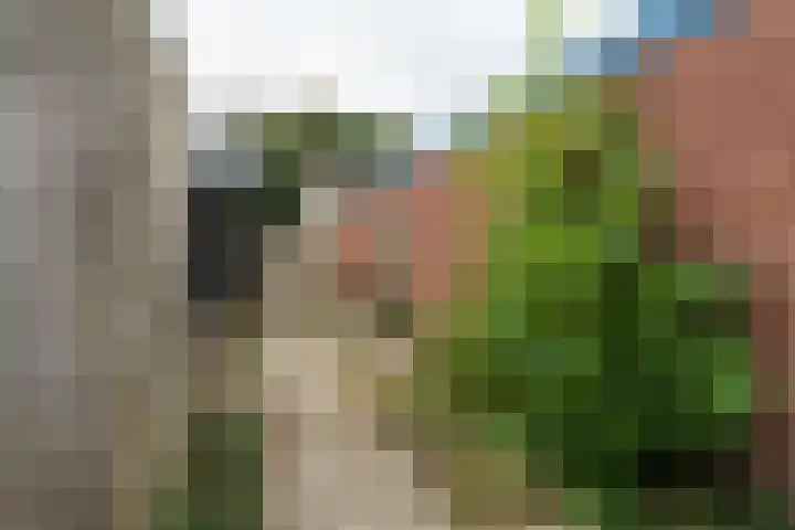 Nassauplein 13 Tilburg thumbnail 31