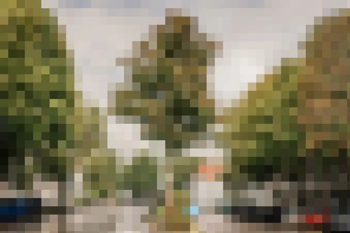 Nassauplein 14 Haarlem thumbnail 27