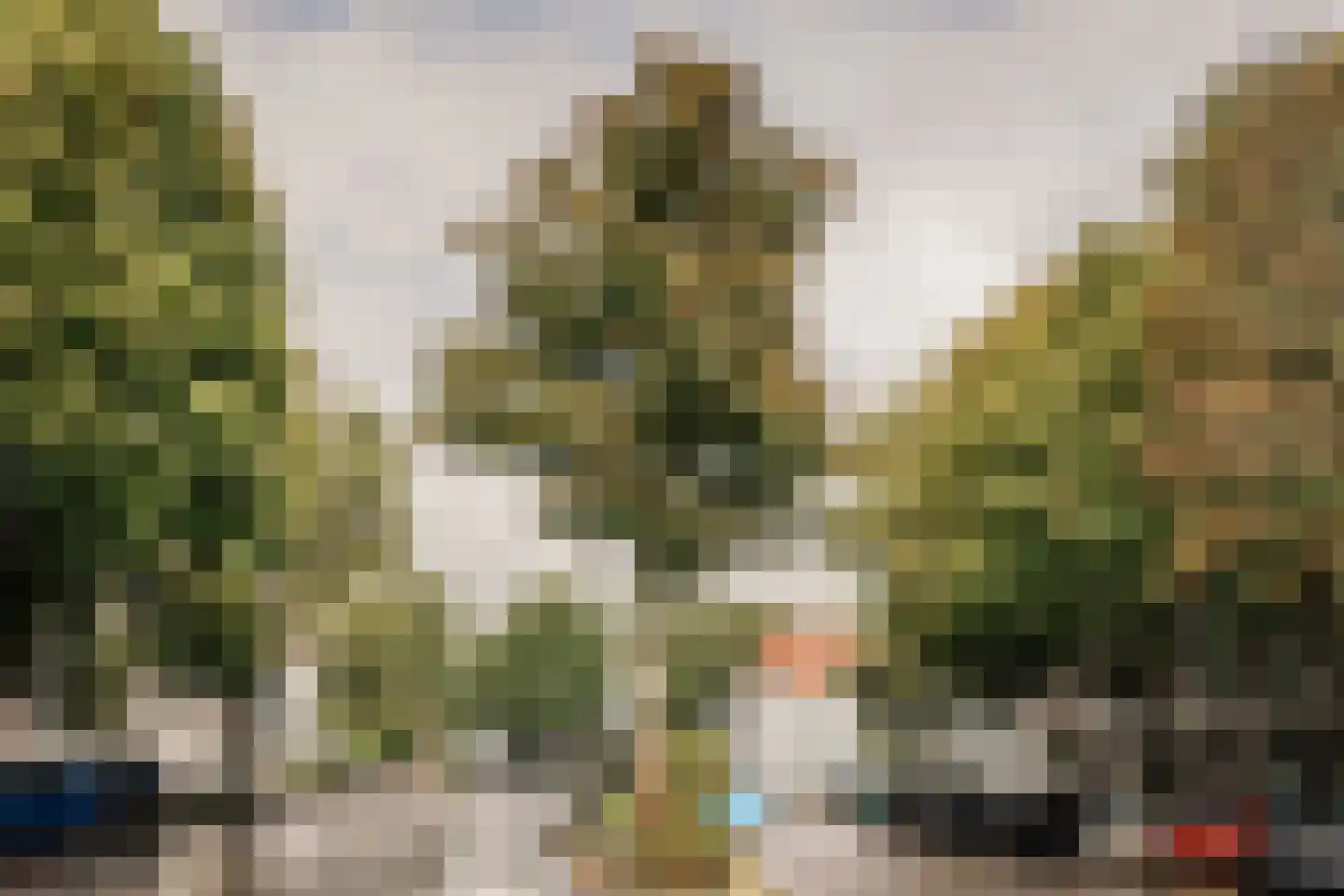 Nassauplein 14 Haarlem thumbnail 27