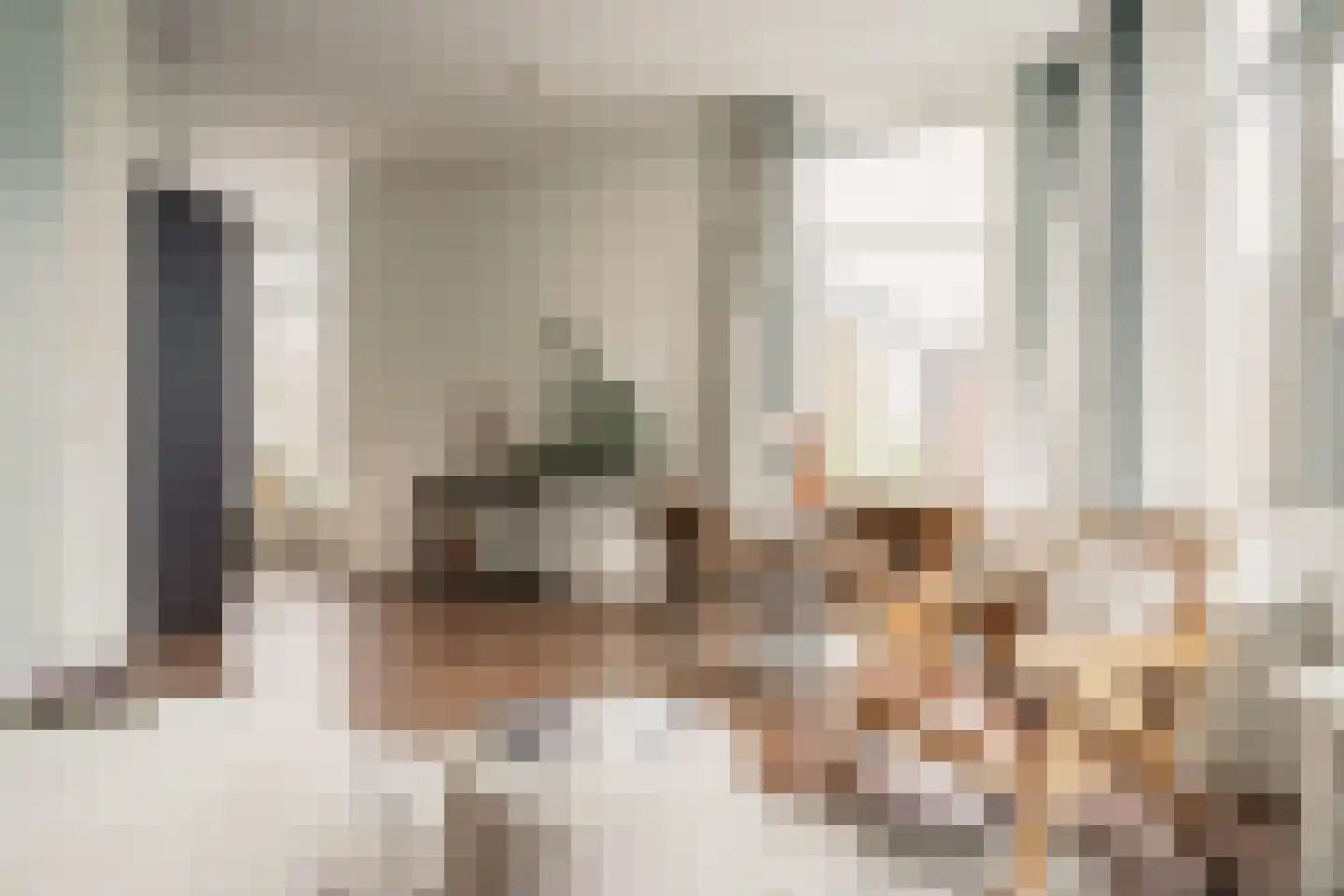 Nassauplein 14 Haarlem thumbnail 8