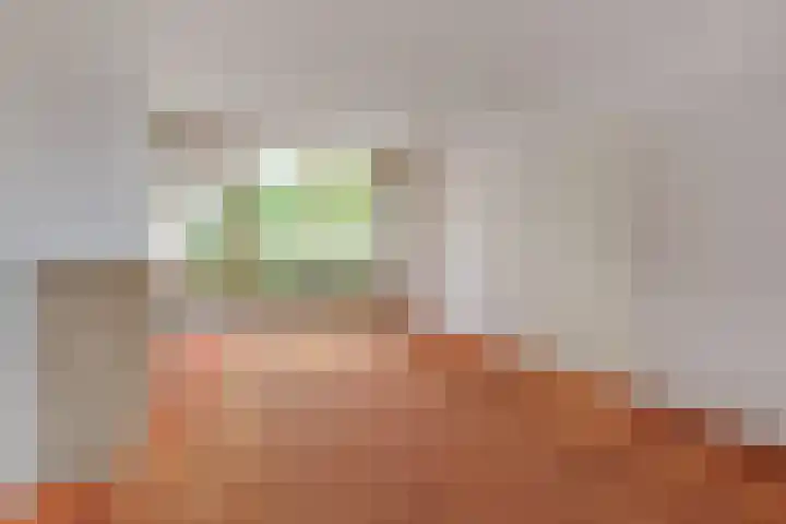 Nassauplein 14 Monster thumbnail 13