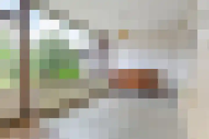 Nassauplein 14 Monster thumbnail 15