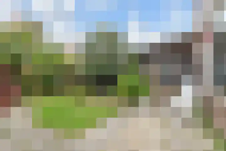 Nassauplein 14 Monster thumbnail 24