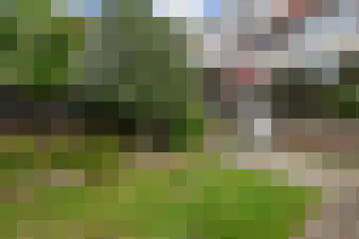 Nassauplein 14 Monster thumbnail 26
