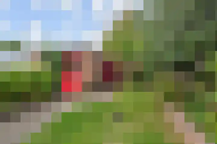 Nassauplein 14 Monster thumbnail 27