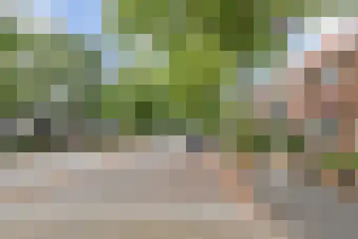 Nassauplein 14 Monster thumbnail 46