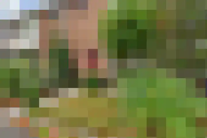Nassauplein 14 Monster thumbnail 47