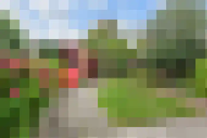 Nassauplein 14 Monster thumbnail 5