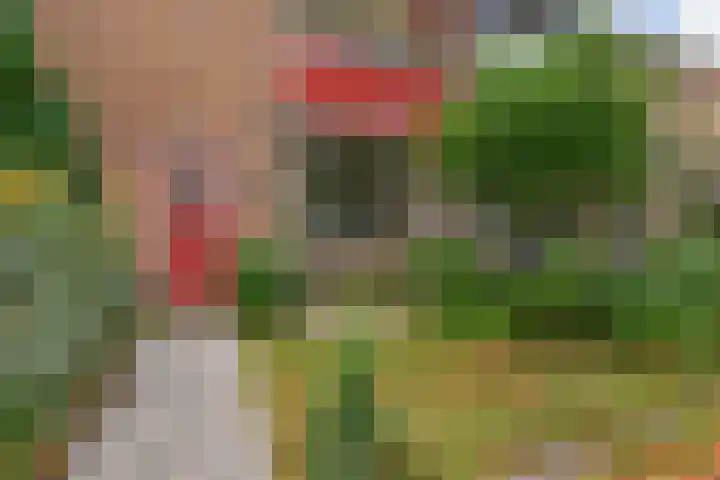 Nassauplein 14 Monster thumbnail 7
