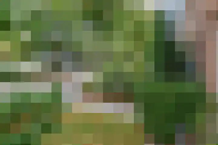Nassauplein 14 Monster thumbnail 8