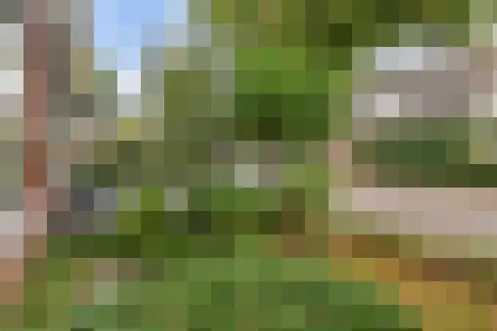 Nassauplein 14 Monster thumbnail 9