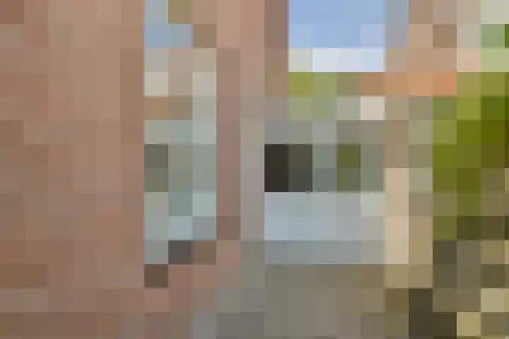 Nassauplein 14 Zandvoort thumbnail 21