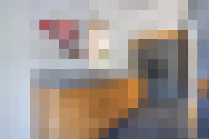 Nassauplein 18 Alkmaar thumbnail 15