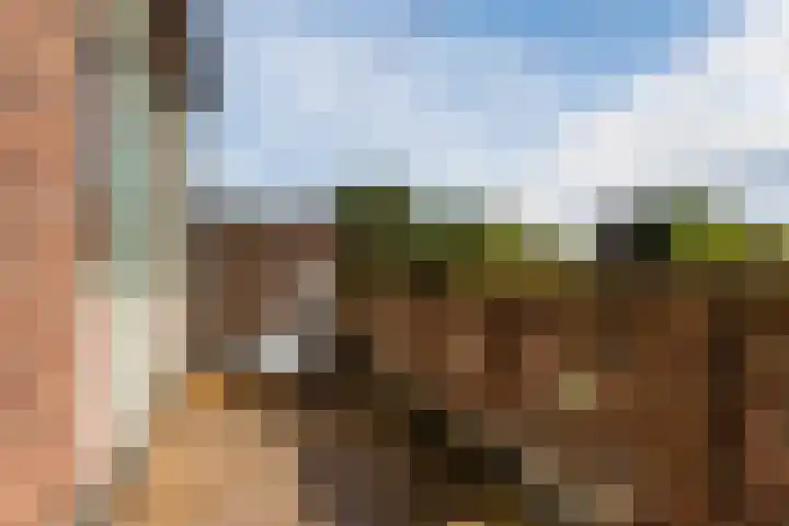 Nassauplein 18 Alkmaar thumbnail 27