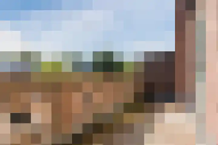 Nassauplein 18 Alkmaar thumbnail 28