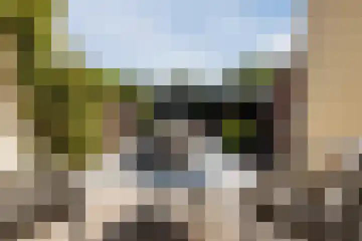 Nassauplein 18 Alkmaar thumbnail 57